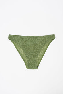 Eden Bikini Brief | Moss