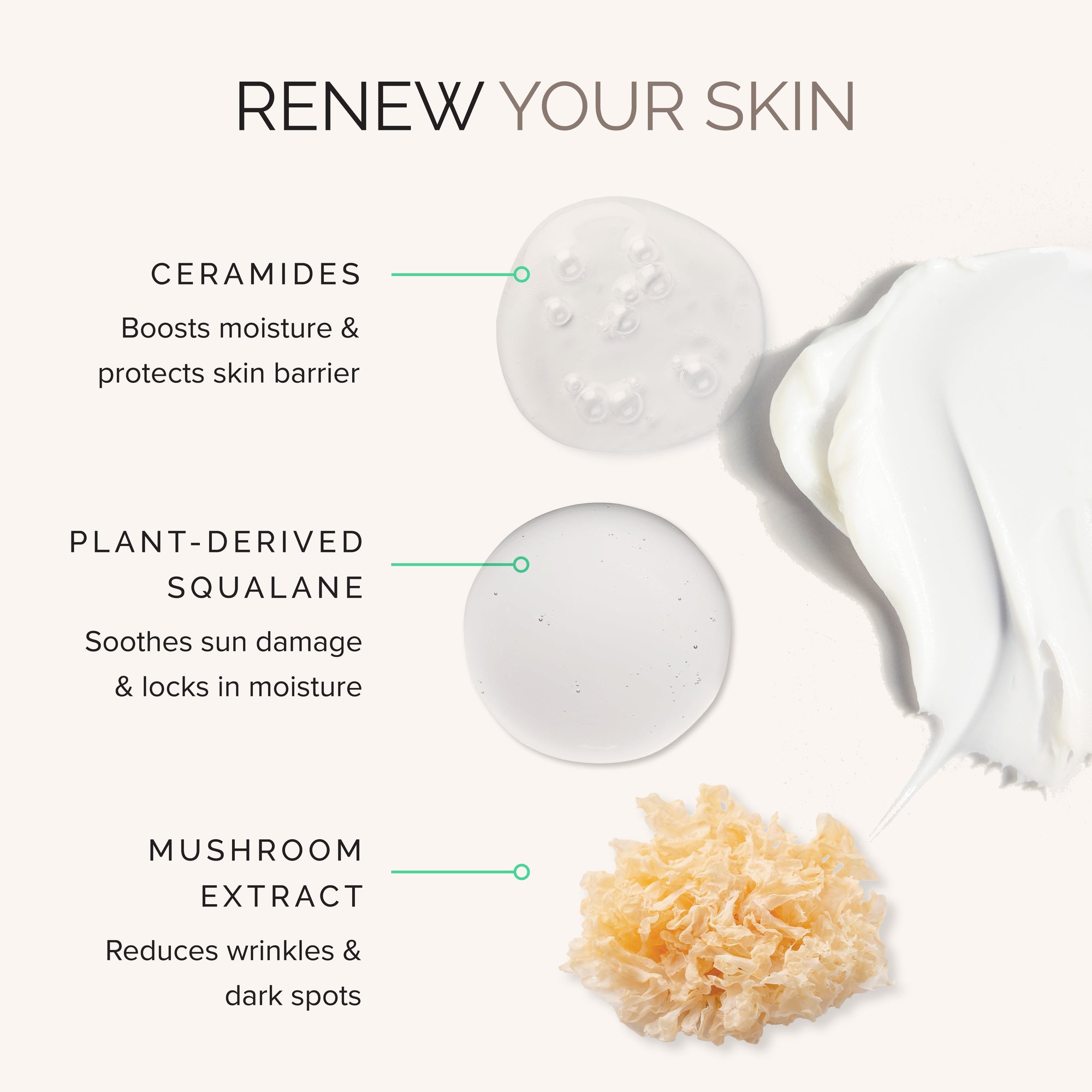 Cosmetic cream bottle Advanced Hydration Creme