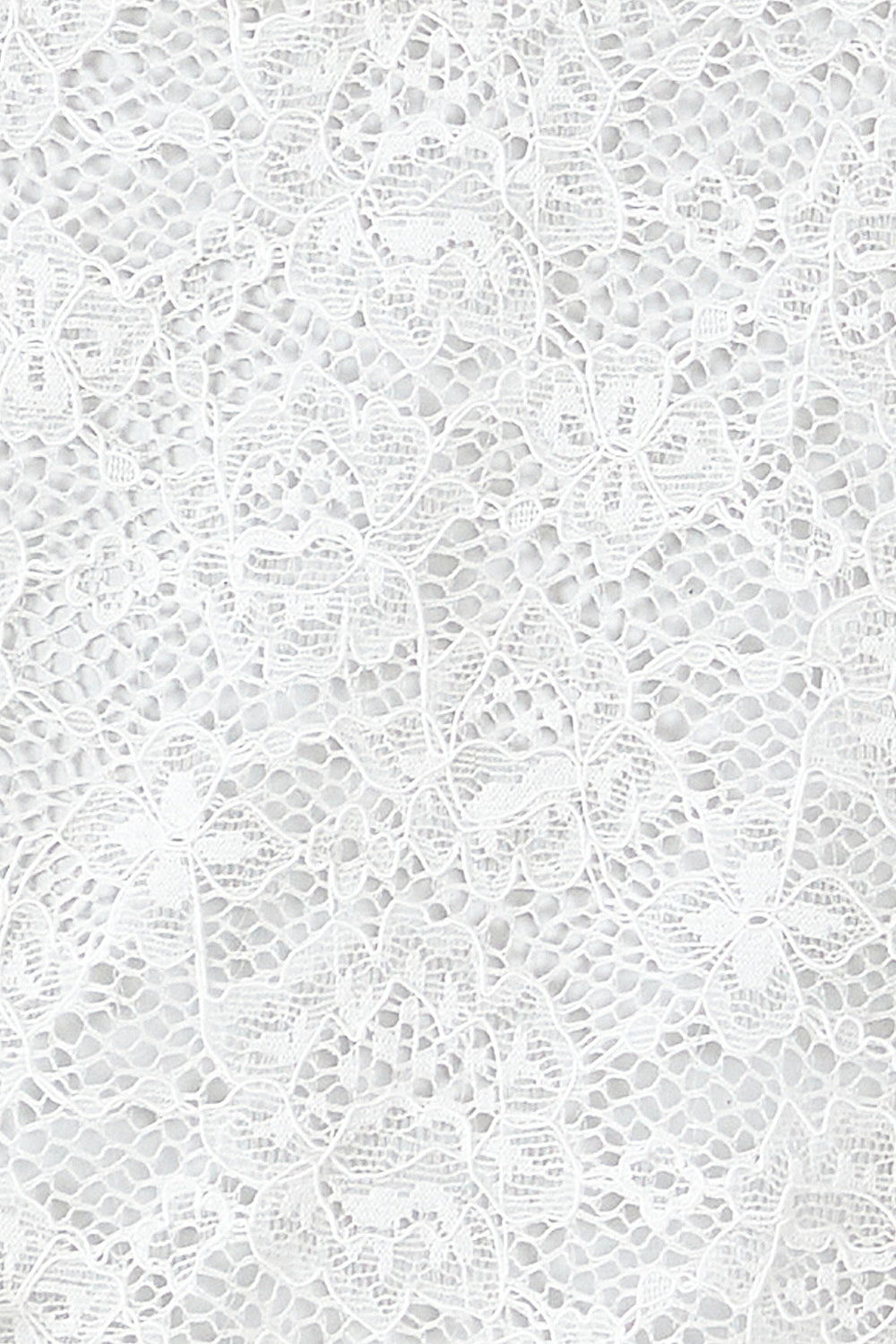 Lace Lo Bottom  | White Lace