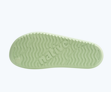 Bottom view of a Native Shoes Spencer Lx | Fig Green/ Bone White Footwear