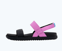 Side view of a Native Shoes Adults Ellis Sugarlite | Winterberry Pink/ Jiffy Black Footwear