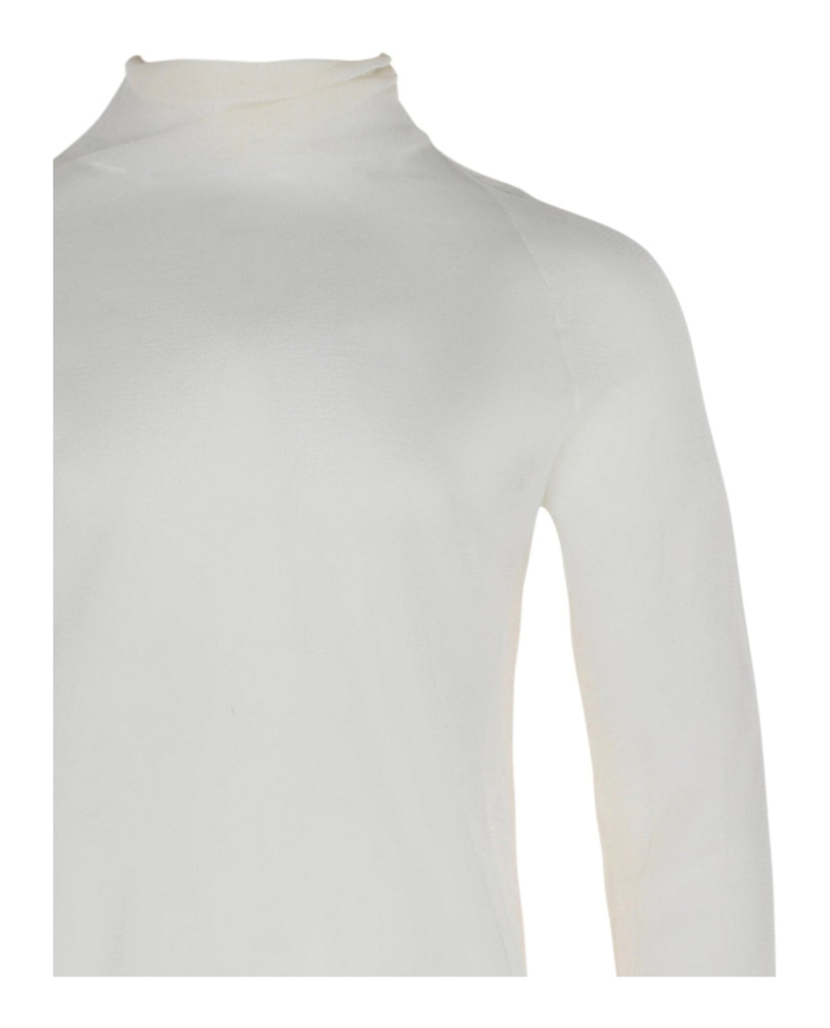 Bottega Veneta | Transparent Silk Turtleneck Sweater