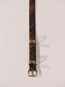 Constance Belt | Brown Python & Gold