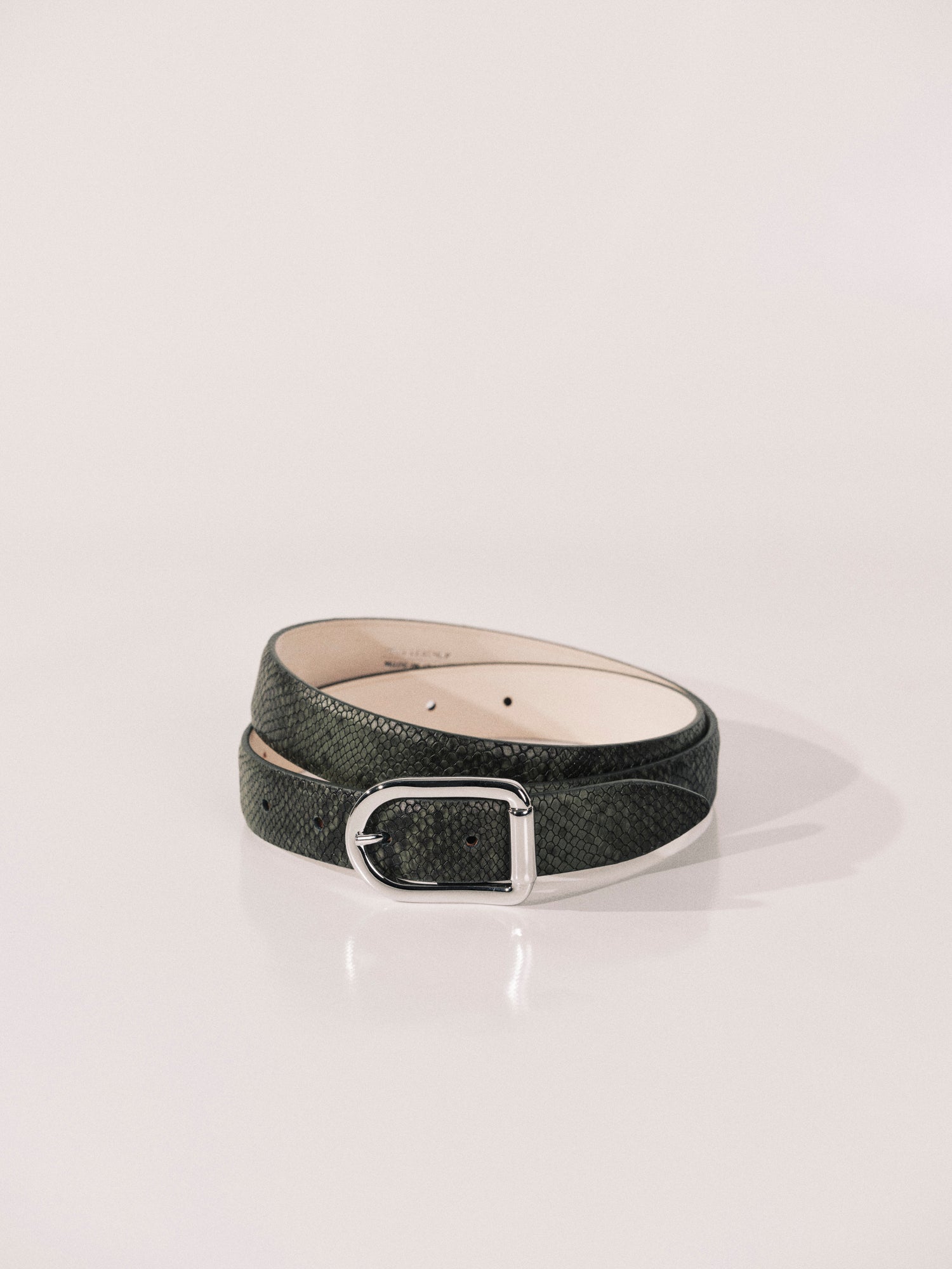 Mija Belt | Green Python & Silver