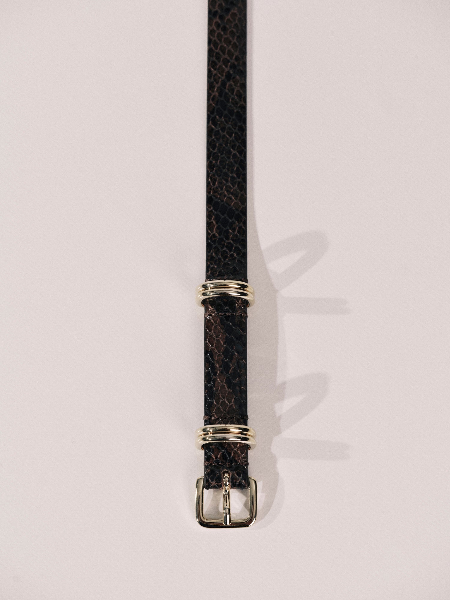 Constance Seneca Snake Pale Gold | Seneca Snake & Pale Gold