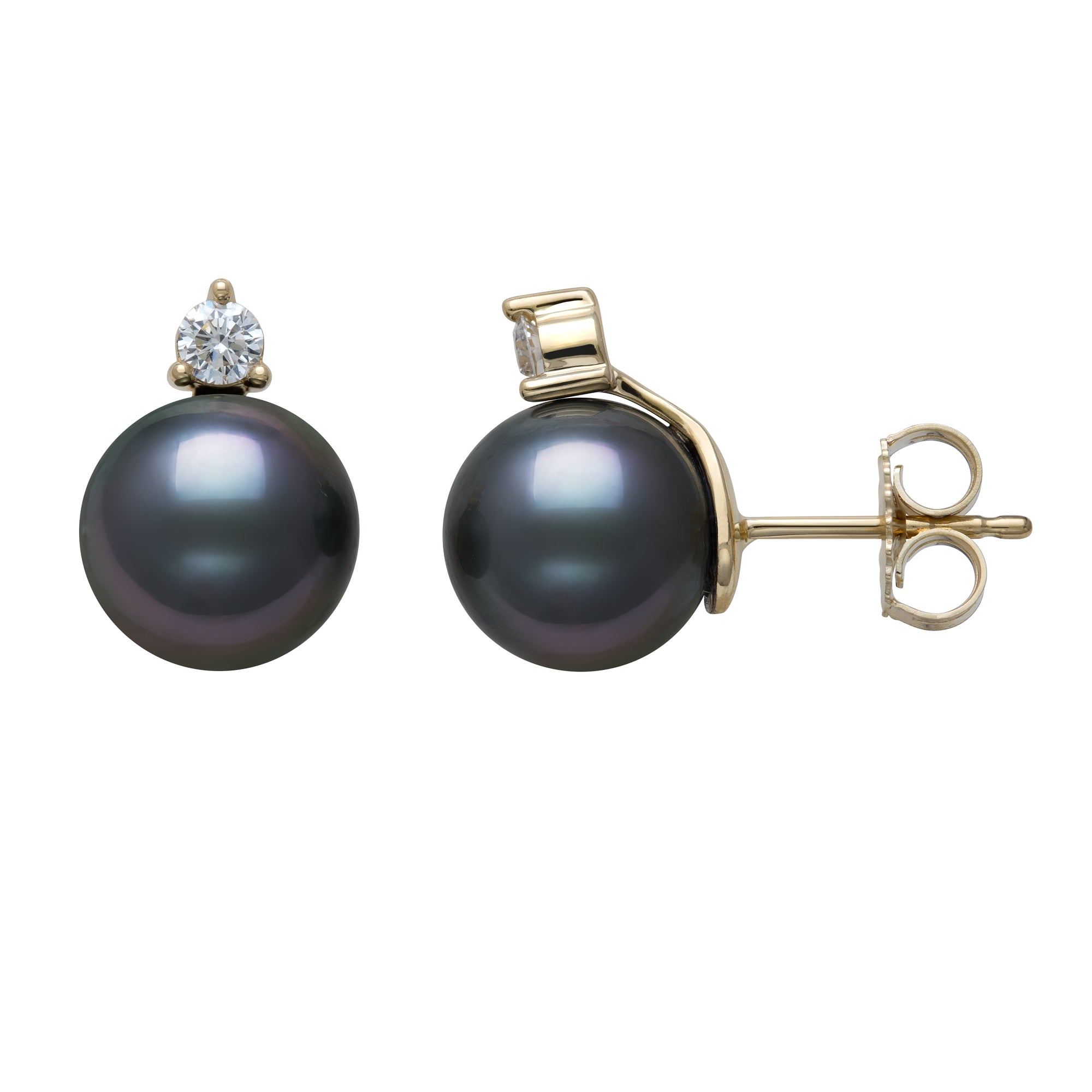 Womens | 11-12mm Round Black Tahitian Pearl | Stud Earrings - II | 14K Yellow Gold
