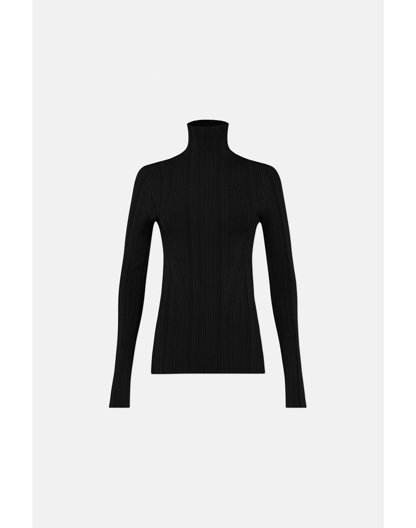 Dawn Plissé Turtleneck | Black