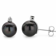 Womens | 11-12mm Round Black Tahitian Pearl | Stud Earrings | 14K White Gold | G-SI