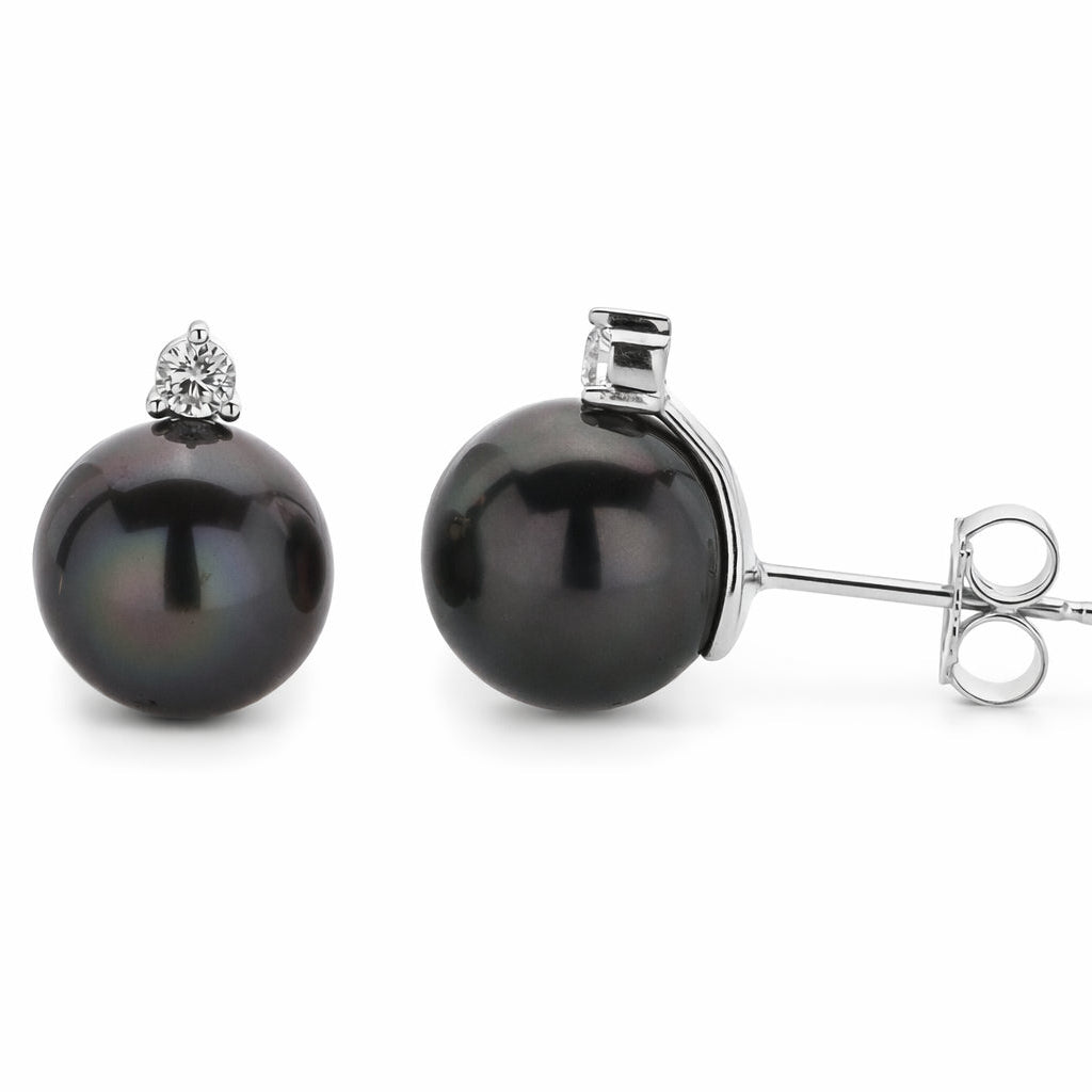Womens | 11-12mm Round Black Tahitian Pearl | Stud Earrings | 14K White Gold | G-SI