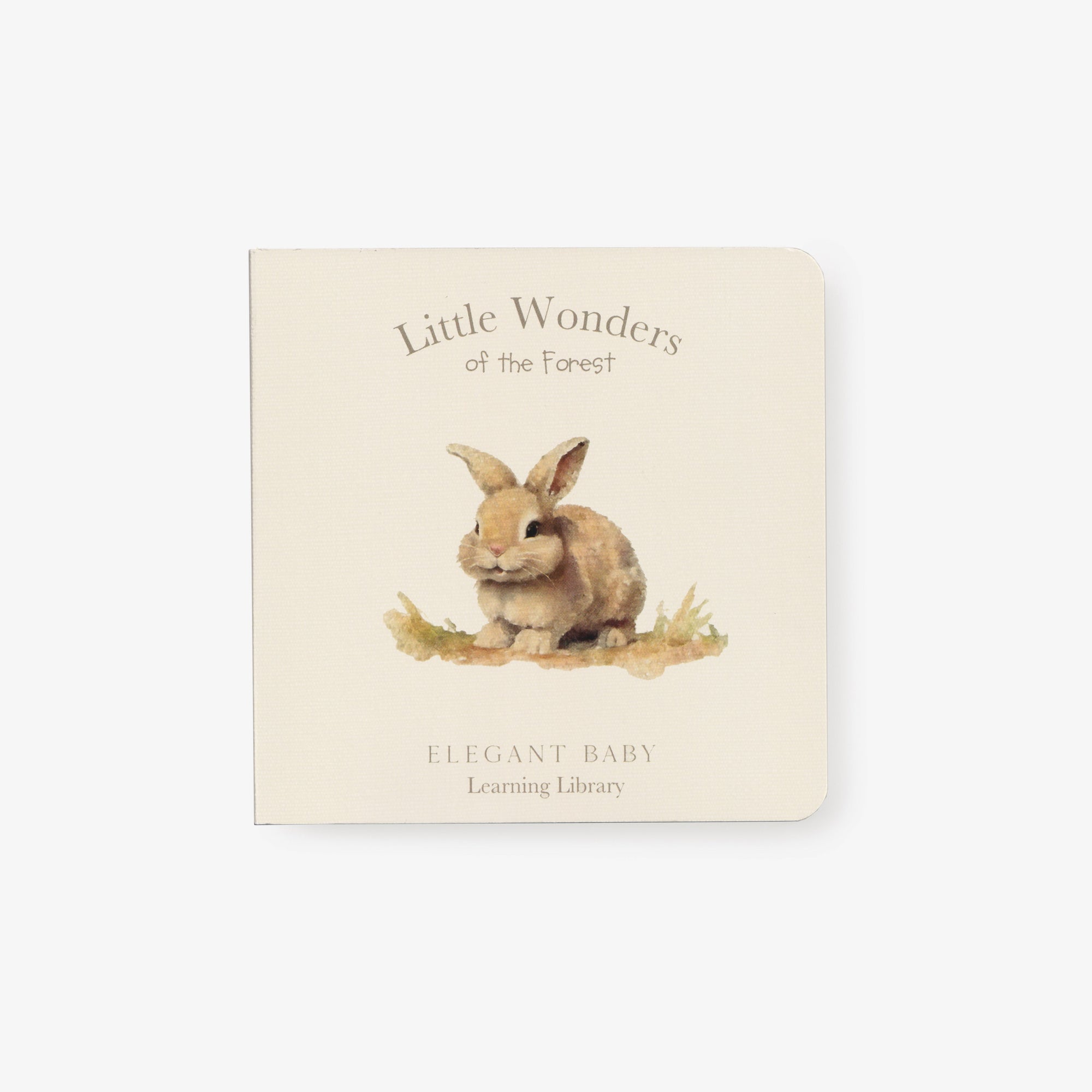 Unisex | Little Wonders Forest Board Book