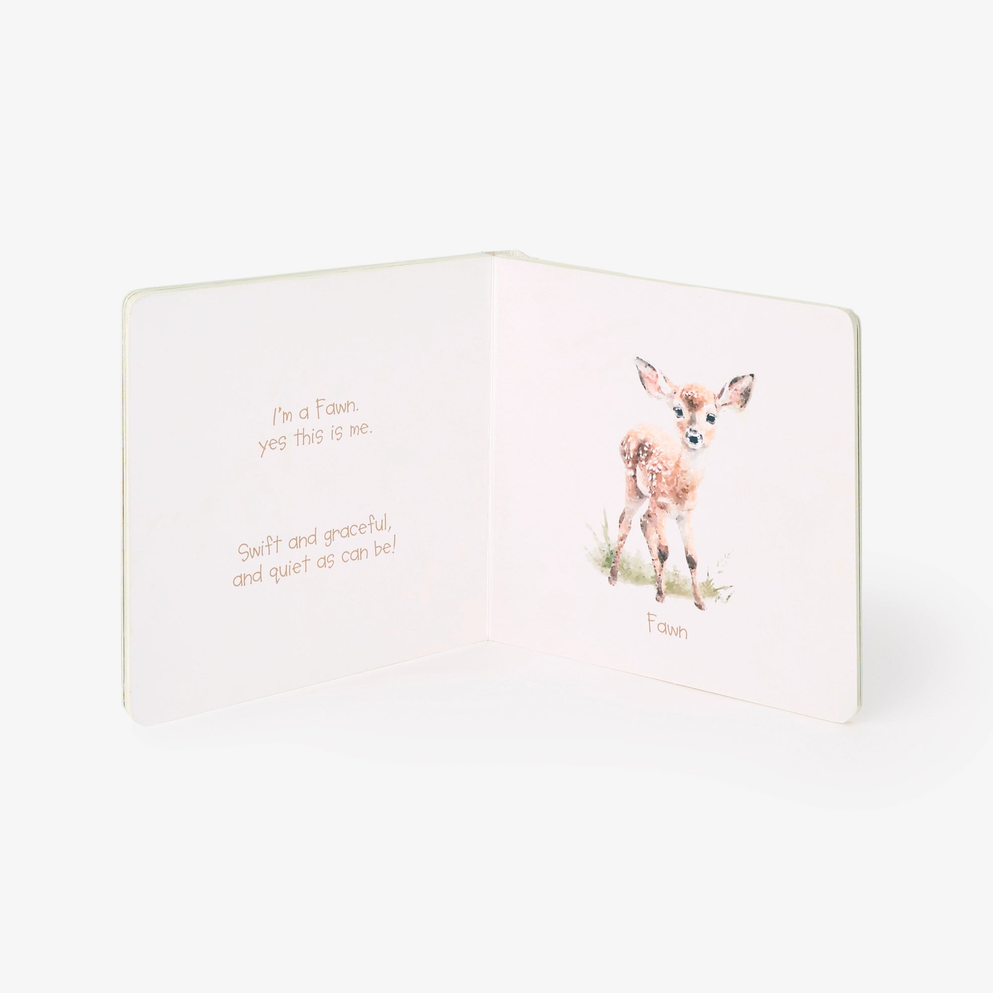 Unisex | Little Wonders Forest Board Book