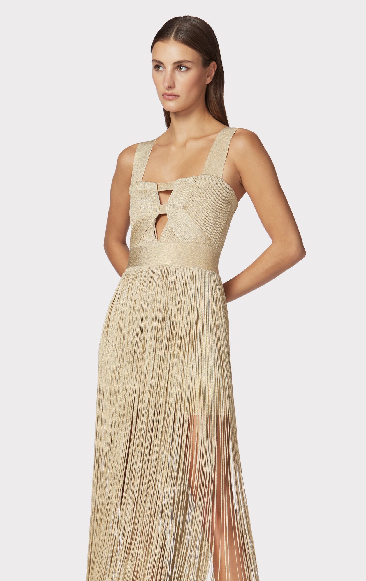 Contour Bust Metallic Fringe Gown | Metallic Gold