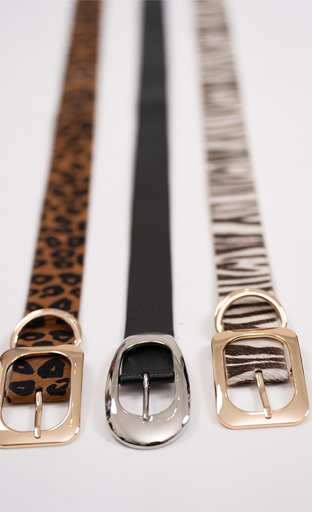 Vince Belt | Cheetah