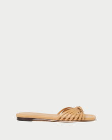 Color: Dune