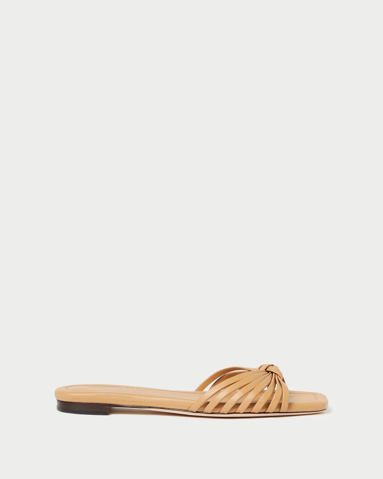 Color: Dune