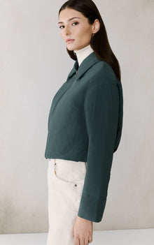 Midnight Forest