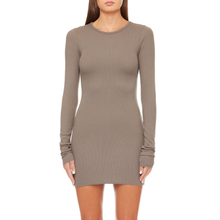 Long Sleeve Crewneck Mini Dress | Clay