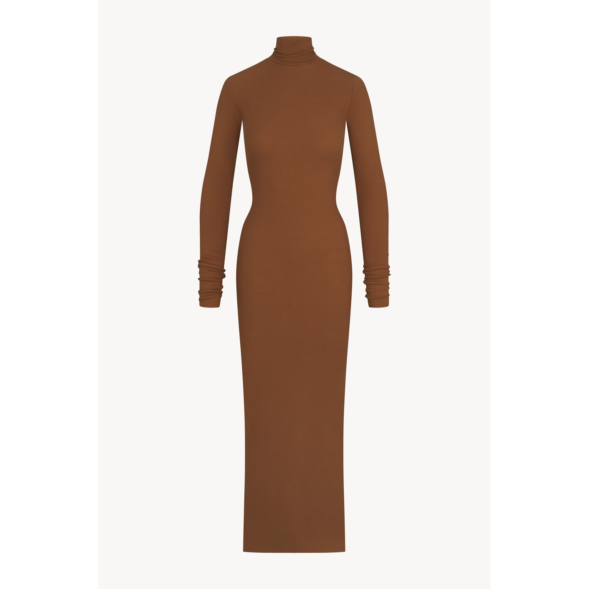 Long Sleeve Turtleneck Maxi Dress | Earth