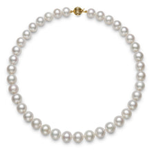 AA Quality Round Strand Necklace | 14K Yellow Gold | White Freshwater Pearl11mm - 12mm