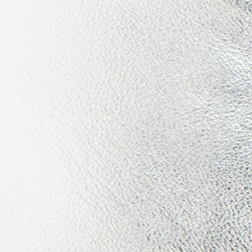 Novia Ballet Flat | Silver Metallic Leather