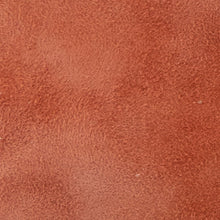 Novia Ballet Flat | Rust Suede