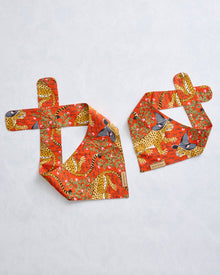 Witchy Bagheera - Pet Bandana - Pumpkin Spice - Printfresh