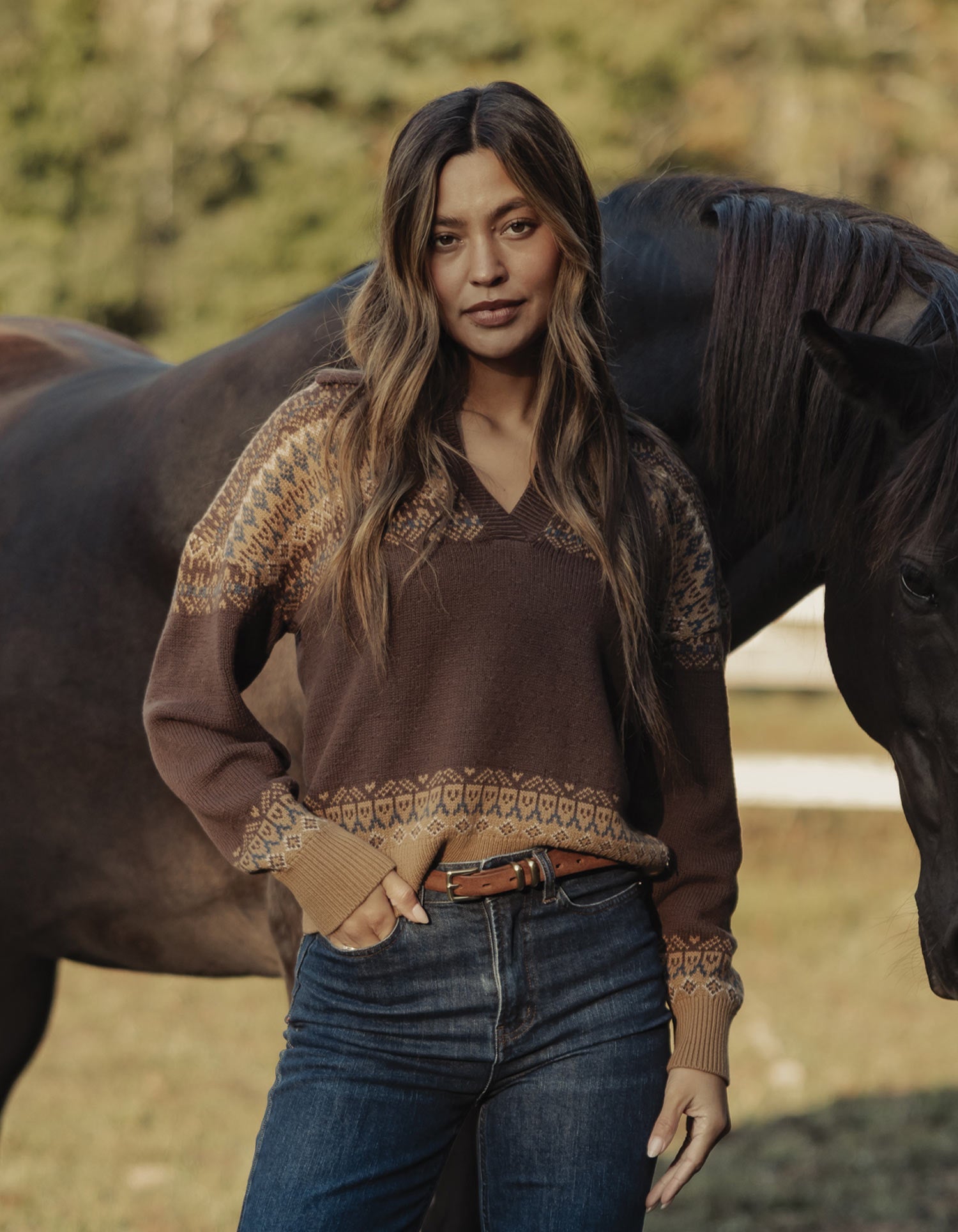 Women | Fair Isle Polo Sweater | Brown Multi