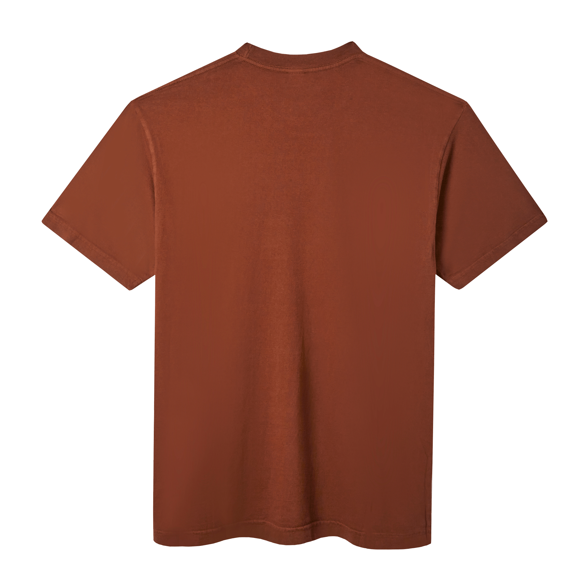 The Pleasing Mushroom Tee | Brown