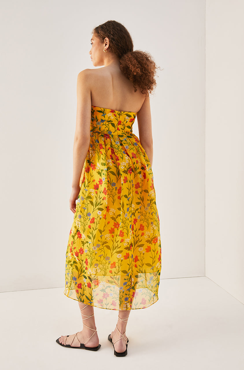 Botanica Fleur Sweetheart Organza Dress | Dandelion Combo