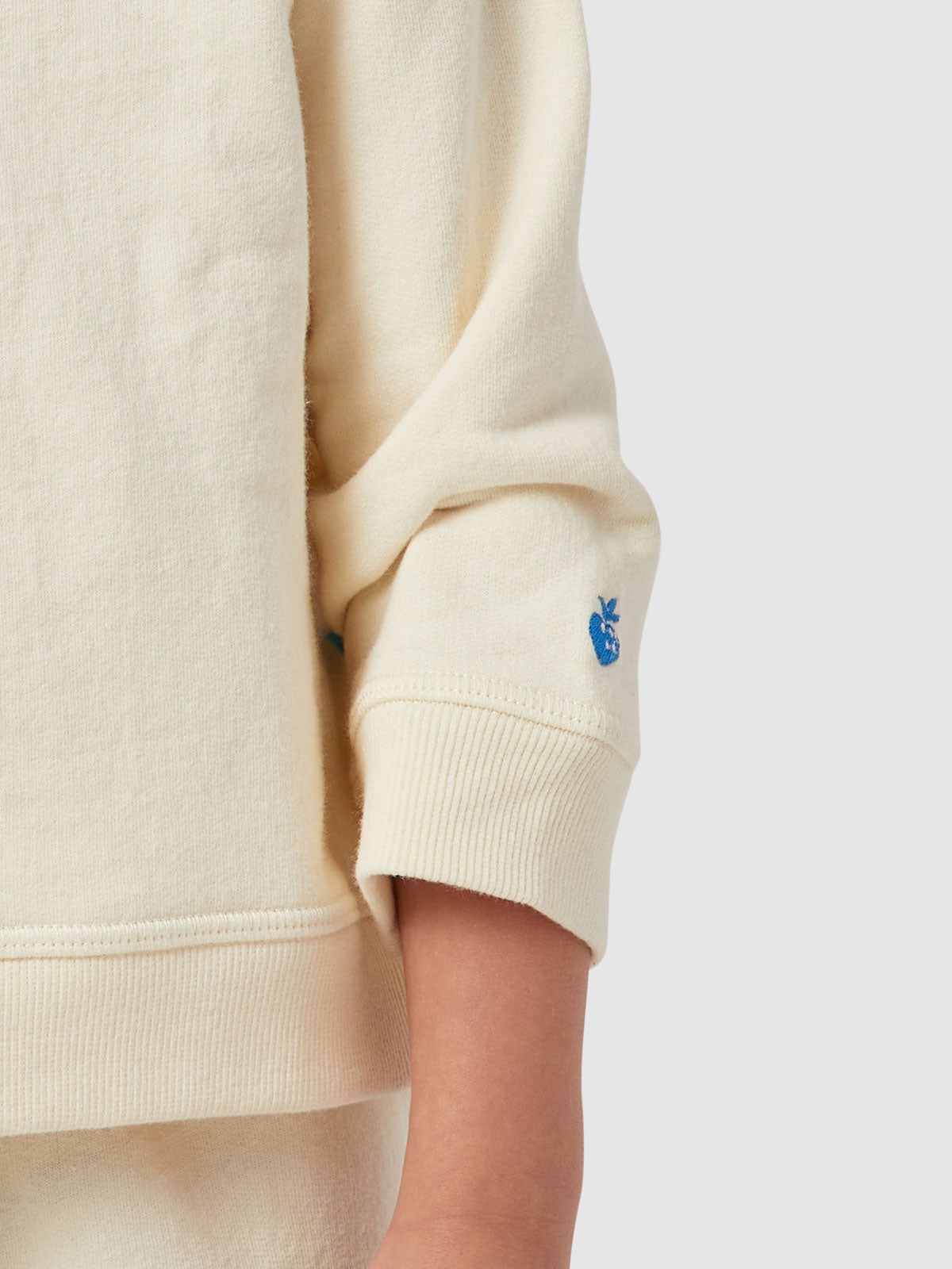 Sleeve | Embroidery