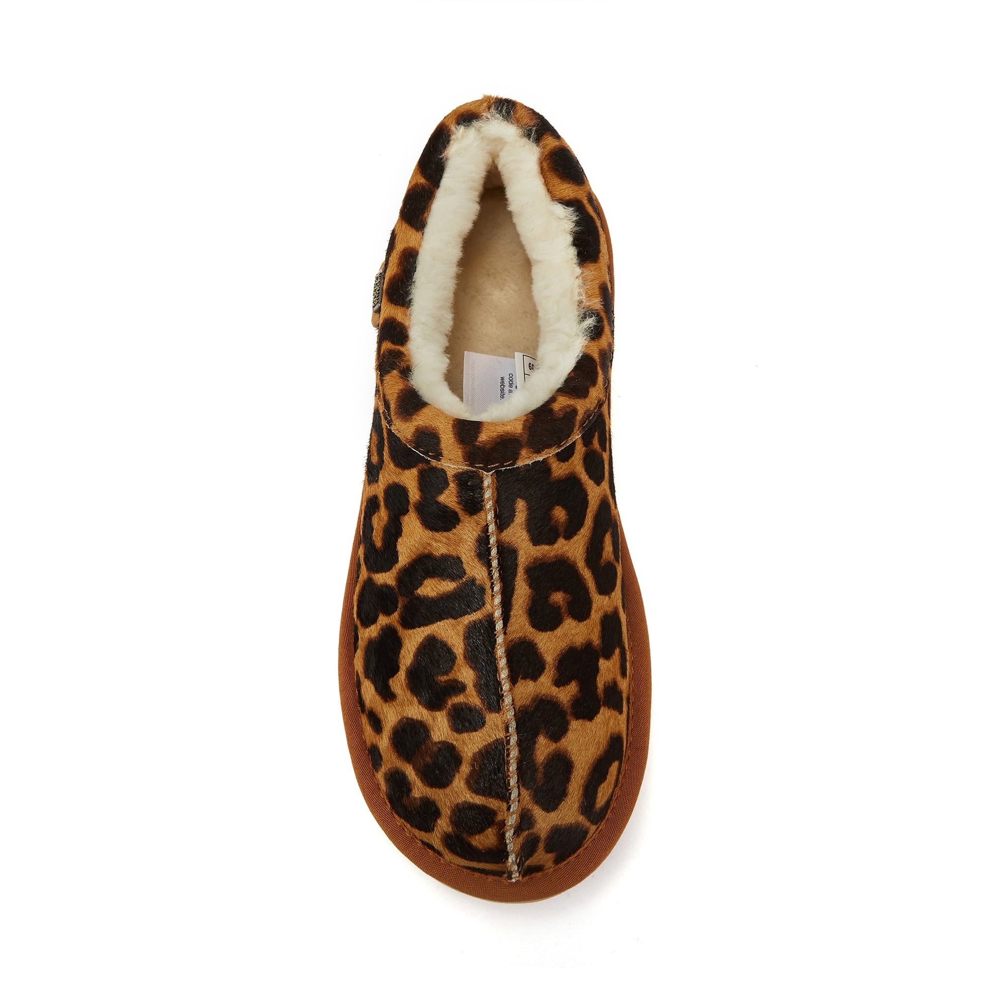 OUTBACK LEOPARD - Australia Luxe Collective
