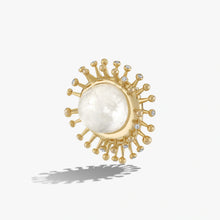 Awe Inspired  Accessories Candy Brooch