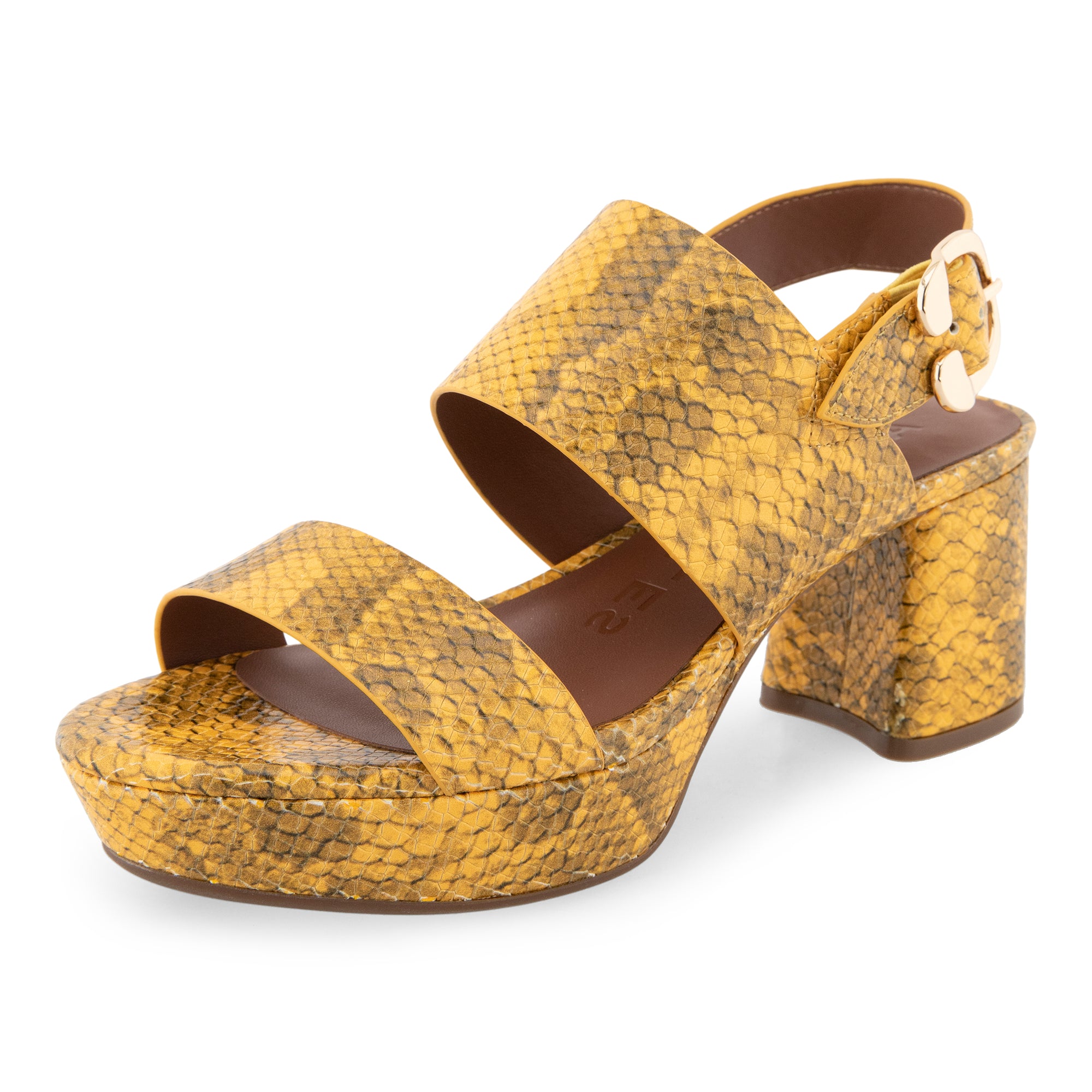 Camera | Mrgld Snk Pnt