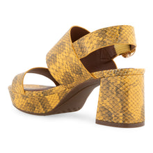 Camera | Mrgld Snk Pnt