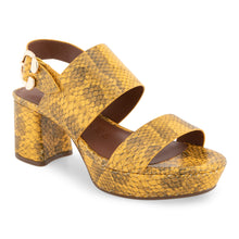 Camera | Mrgld Snk Pnt