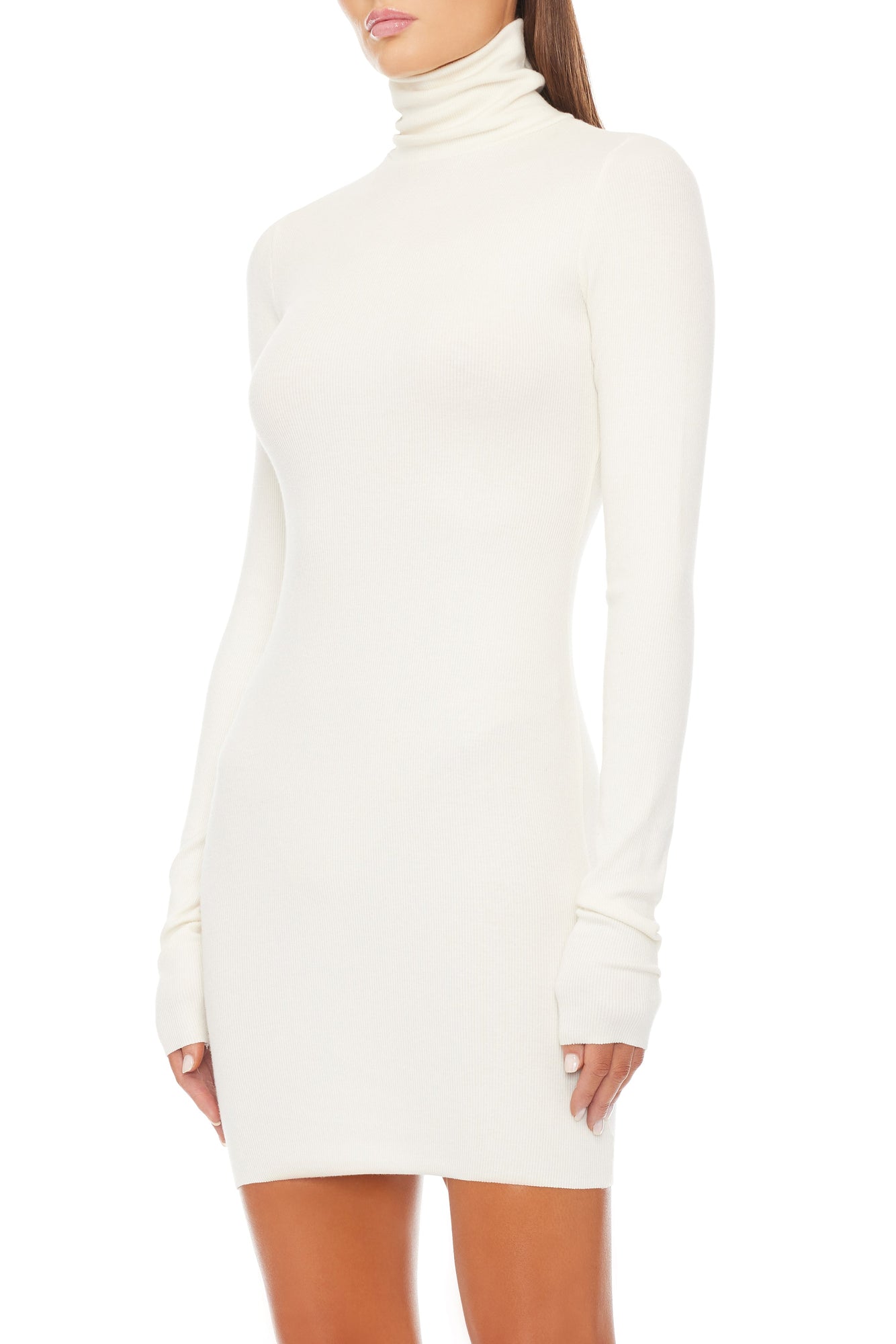 LONG SLEEVE TURTLENECK MINI DRESS - ETERNE
