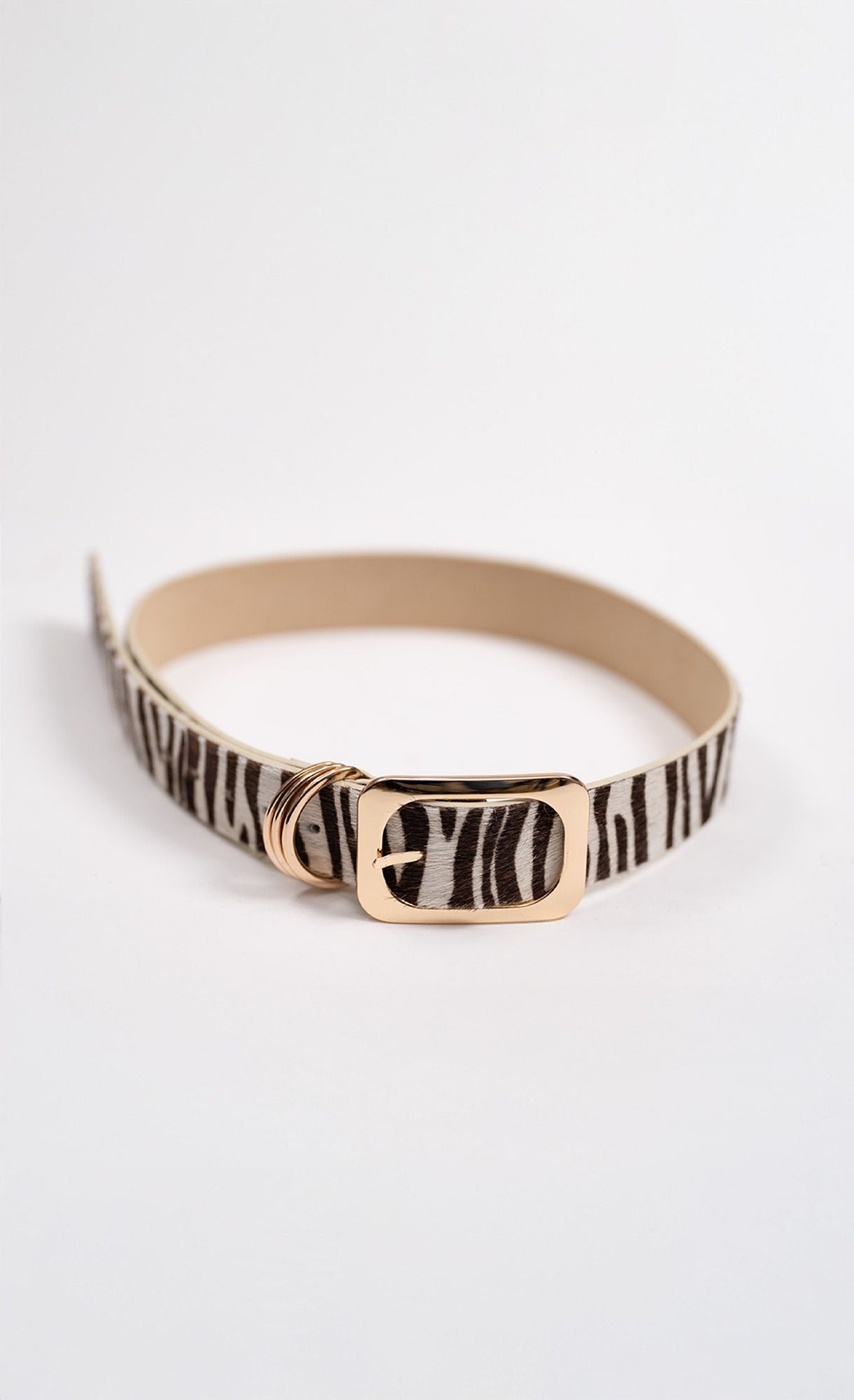 Vince Belt | Zebra